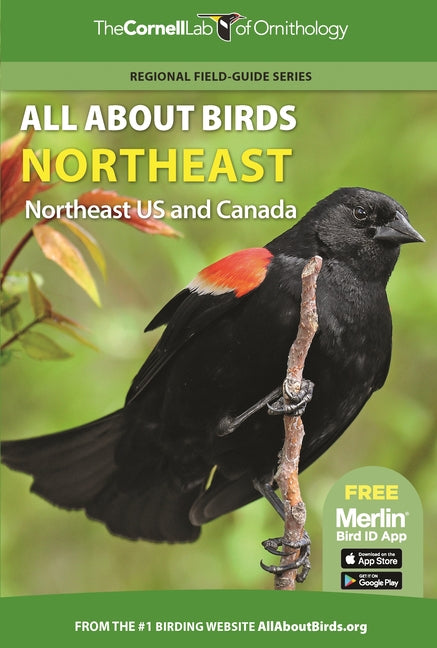 Book cover for All about Birds Northeast: Northeast Us and Canada