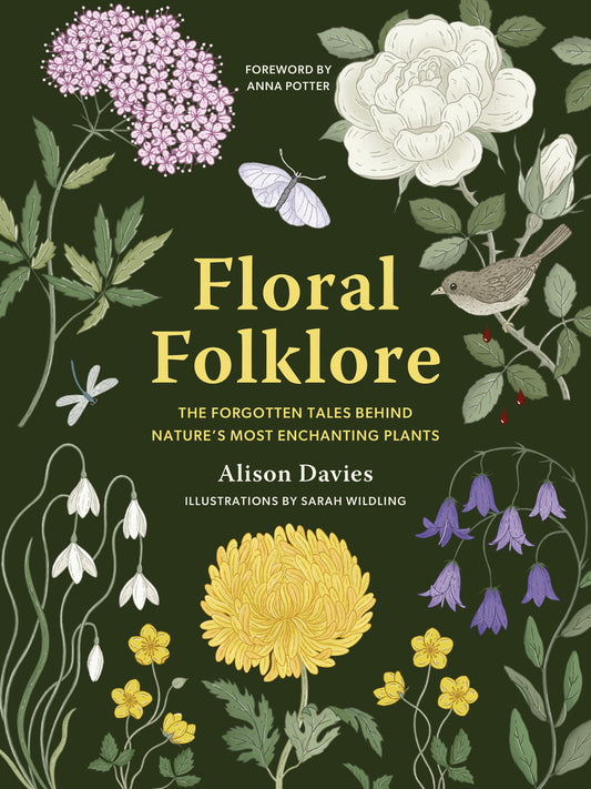 Book cover for Floral Folklore: The Forgotten Tales Behind Nature's Most Enchanting Plants