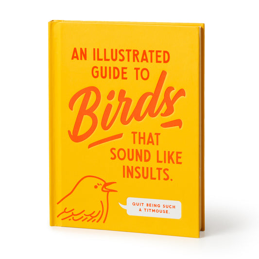 Book cover for Illustrated Guide to Birds That Sound Like Insults