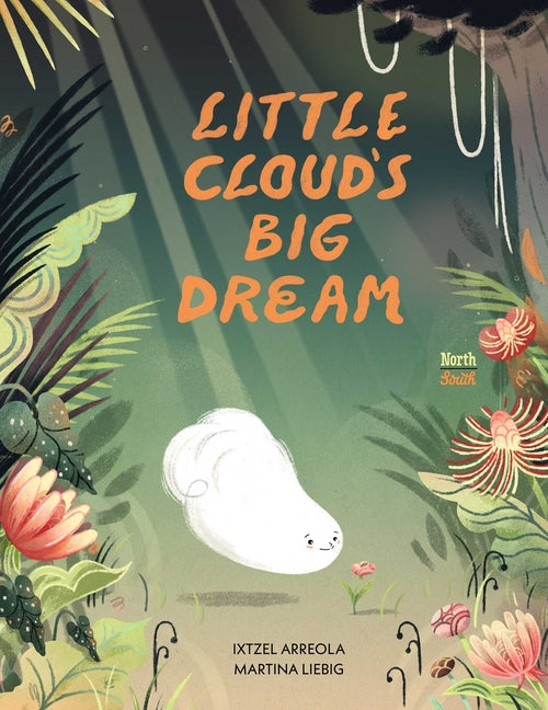 Book cover for Little Cloud's Big Dream