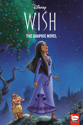 Book cover for Disney Wish: The Graphic Novel