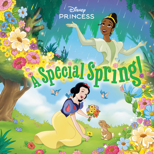 Book cover for Special Spring! (Disney Princess)