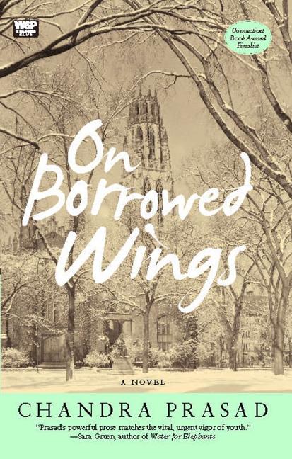 Book cover for On Borrowed Wings