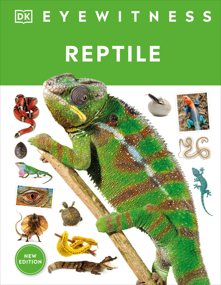 Book cover for Eyewitness Reptile