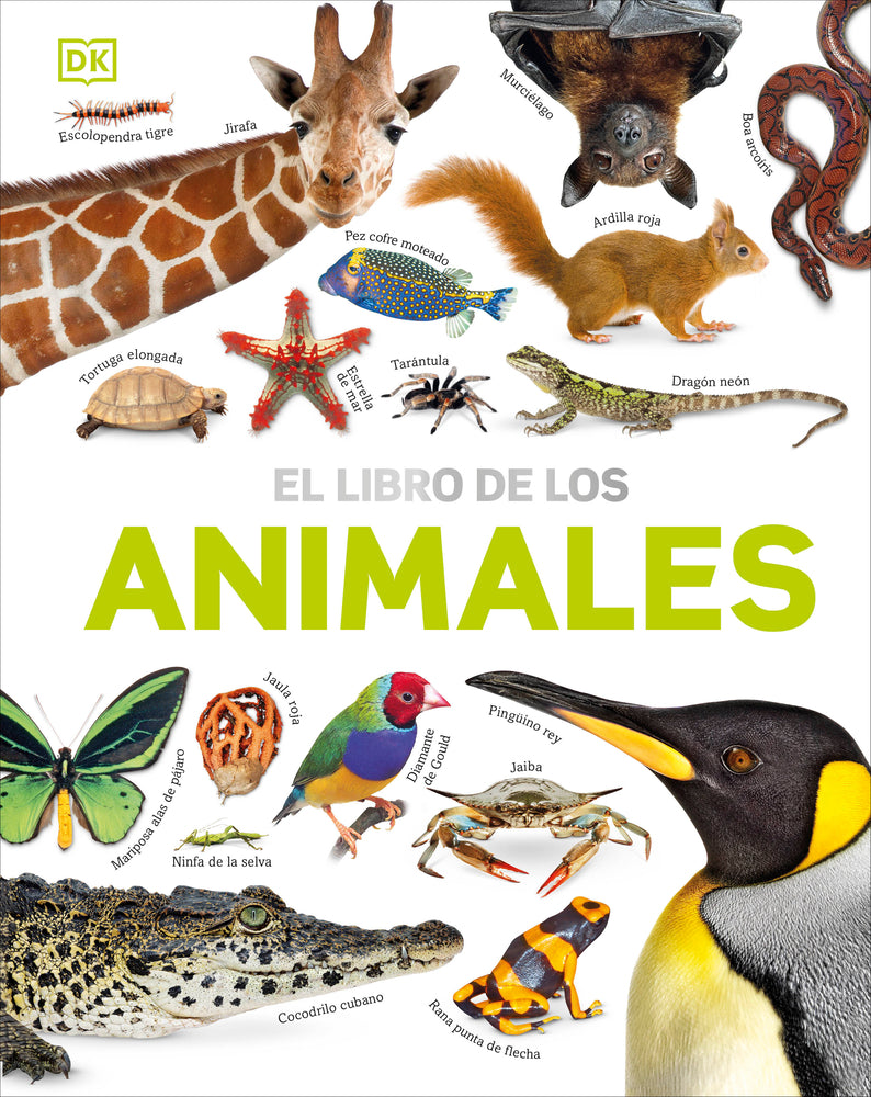 Book cover for El Libro de Los Animales (Our World in Pictures: The Animal Book)