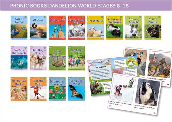 Book cover for Phonic Books Dandelion World Stages 8-15 (Words with Four Sounds CVCC)