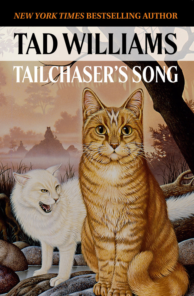 Book cover for Tailchaser's Song