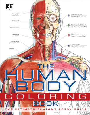 Book cover for The Human Body Coloring Book: The Ultimate Anatomy Study Guide
