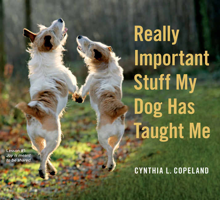 Book cover for Really Important Stuff My Dog Has Taught Me