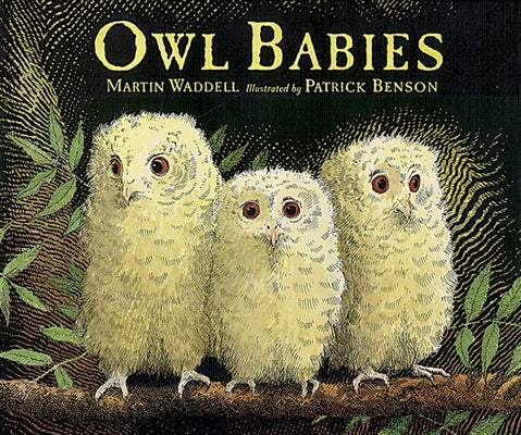 Book cover for Owl Babies