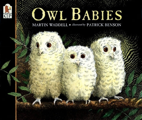 Book cover for Owl Babies