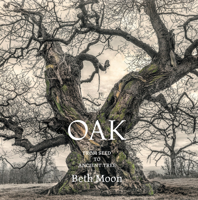 Book cover for Oak: From Seed to Ancient Tree