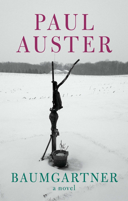 Book cover for Baumgartner