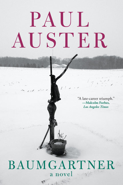 Book cover for Baumgartner