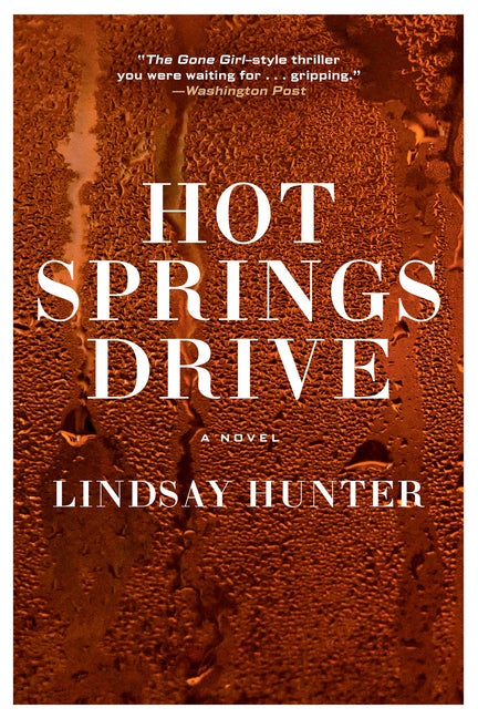 Book cover for Hot Springs Drive