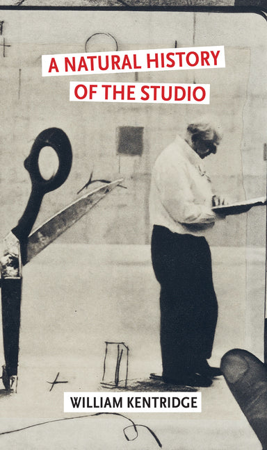 Book cover for Natural History of the Studio