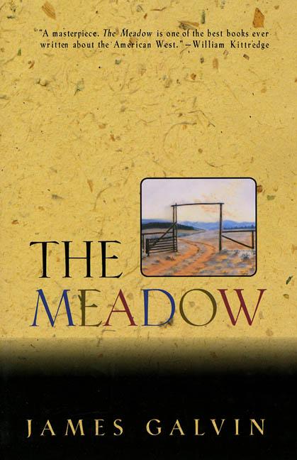 Book cover for Meadow