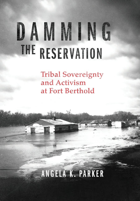Book cover for Damming the Reservation: Tribal Sovereignty and Activism at Fort Berthold Volume 23