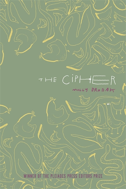Book cover for The Cipher