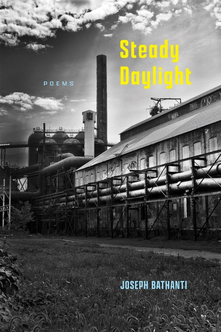 Book cover for Steady Daylight: Poems