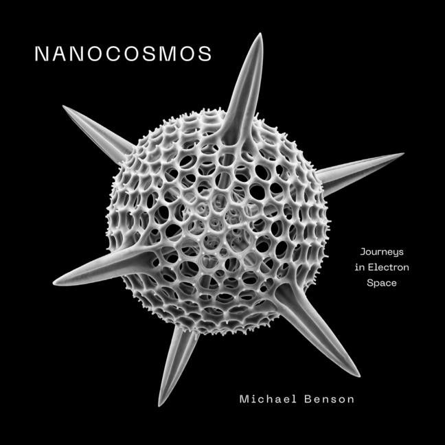 Book cover for Nanocosmos: Journeys in Electron Space