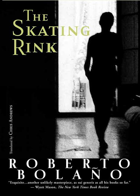Book cover for Skating Rink