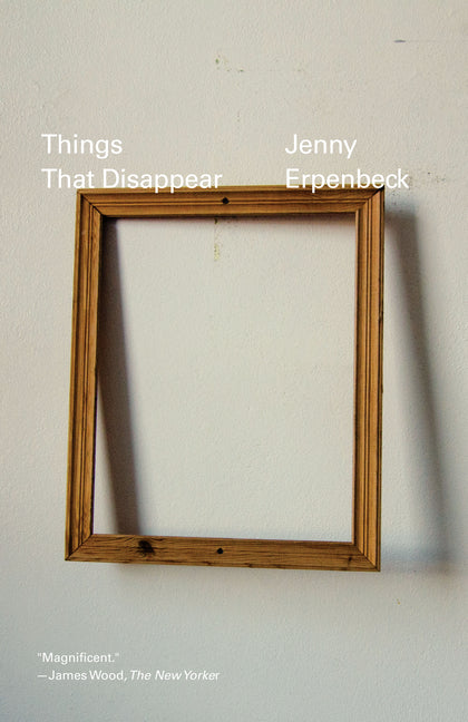 Book cover for Things That Disappear