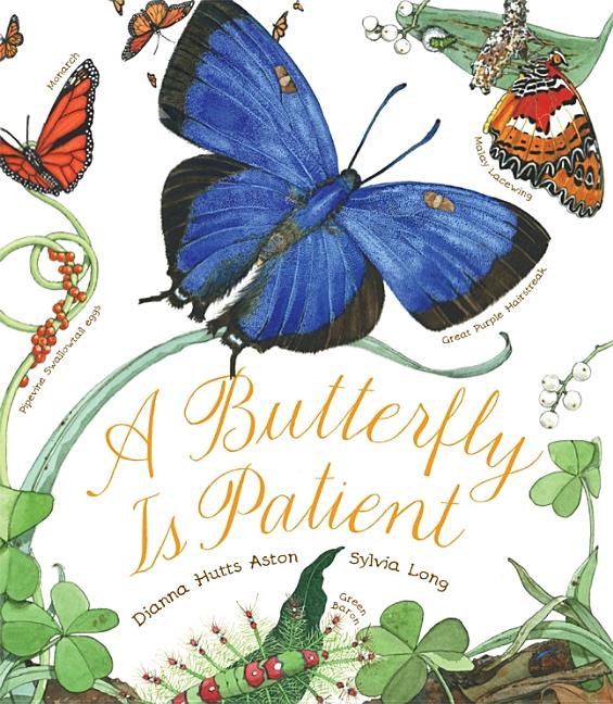 Book cover for A Butterfly Is Patient