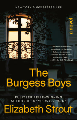 Book cover for The Burgess Boys