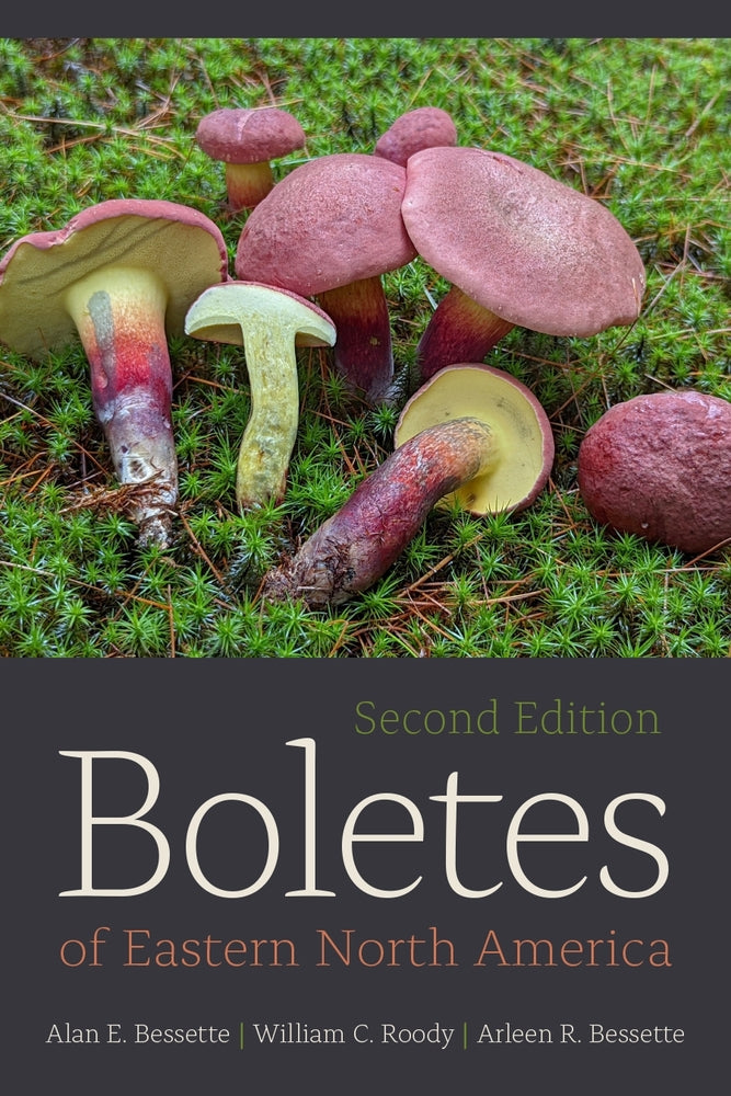Book cover for Boletes of Eastern North America, Second Edition