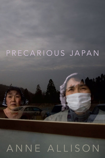 Book cover for Precarious Japan