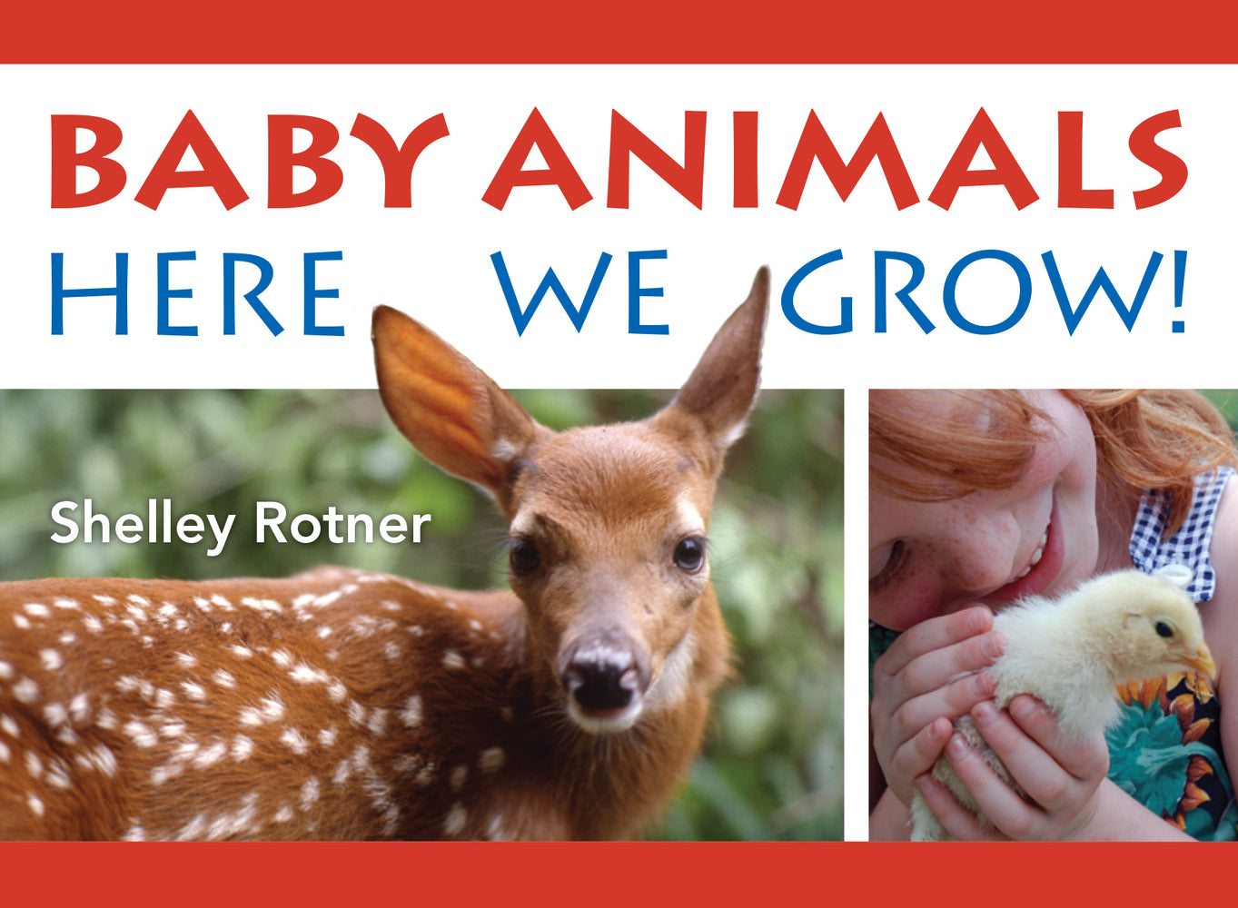Book cover for Baby Animals!: Here We Grow