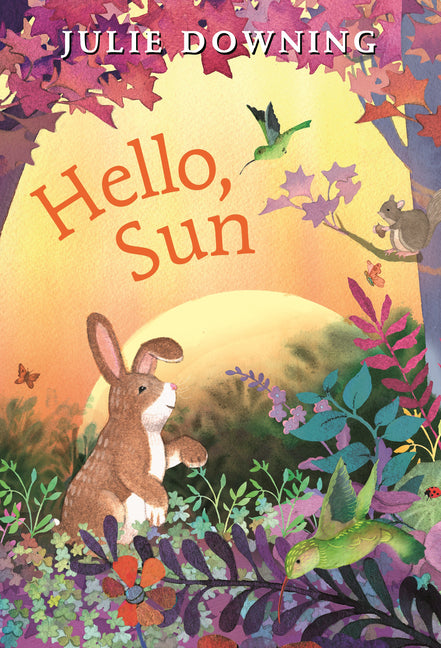 Book cover for Hello, Sun