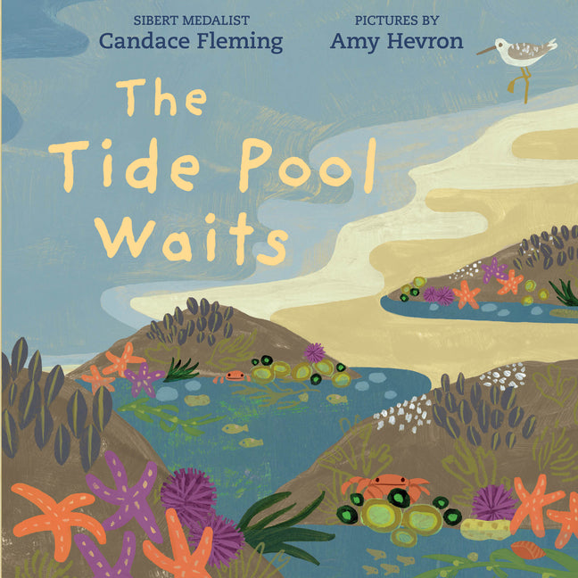 Book cover for Tide Pool Waits