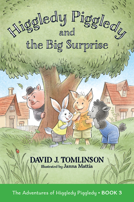 Book cover for Higgledy Piggledy and the Big Surprise: The Adventures of Higgledy Piggledy Book 3 Volume 3