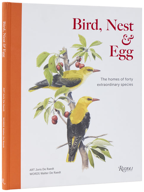 Book cover for Bird, Nest & Egg: The Homes of Forty Extraordinary Species