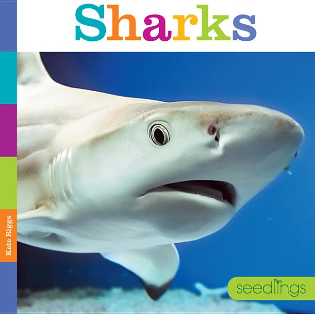 Book cover for Sharks