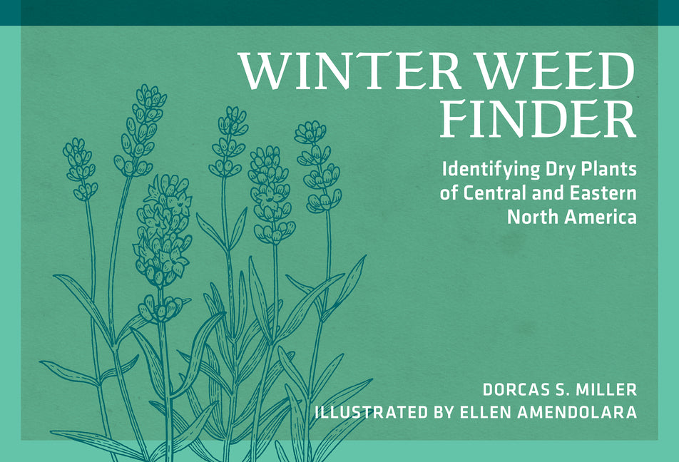 Book cover for Winter Weed Finder: Identifying Dry Plants of Central and Eastern North America (Revised)