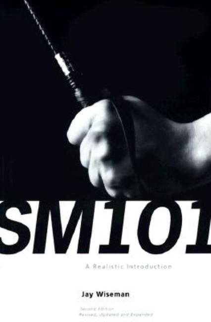 Book cover for SM 101: A Realistic Introduction