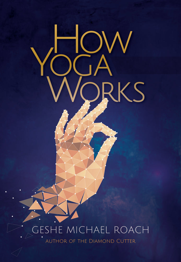 Book cover for How Yoga Works