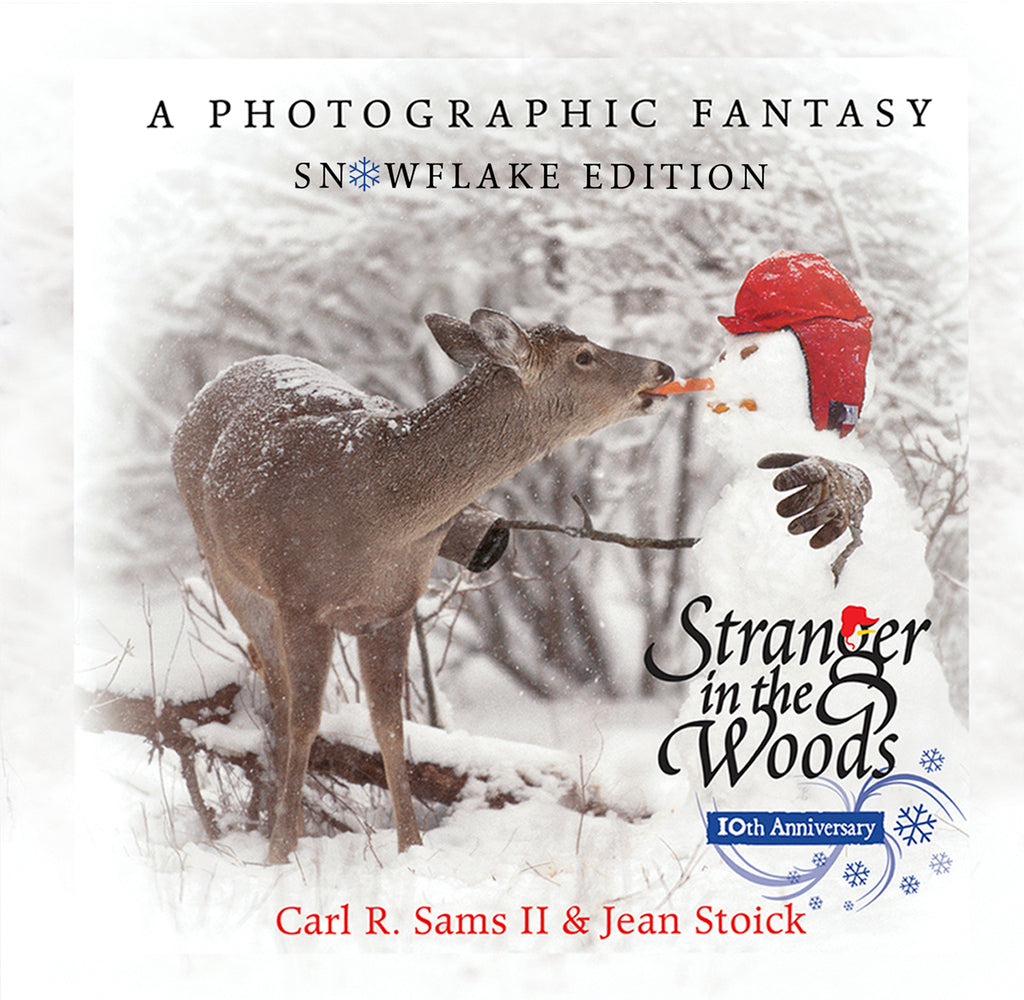 Book cover for Stranger in the Woods: A Photographic Fantasy: Snowflake Edition