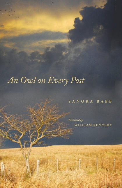 Book cover for Owl on Every Post