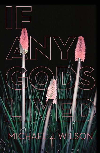 Book cover for If Any Gods Lived: Poems