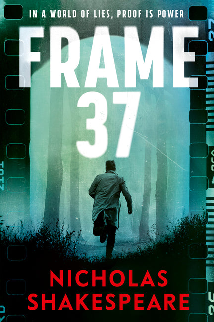 Book cover for Frame 37