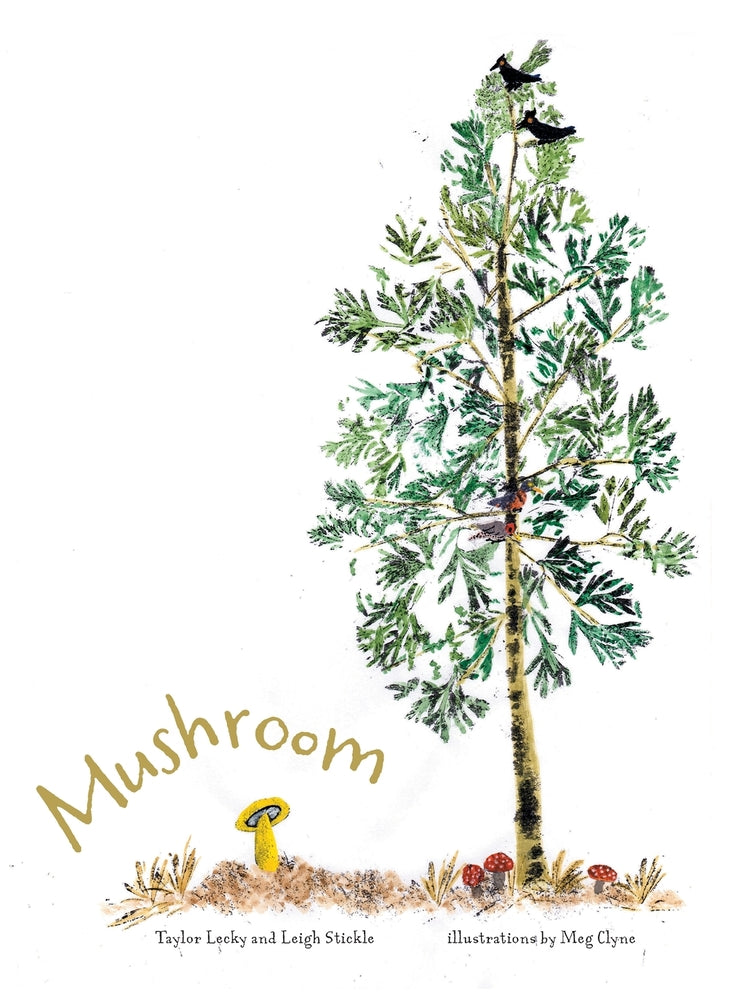 Book cover for Mushroom