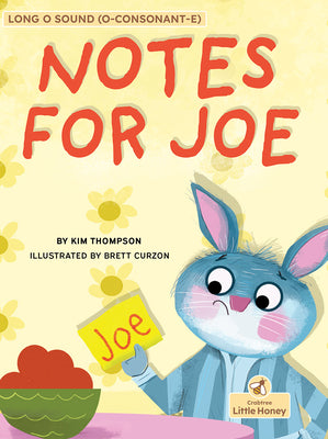 Book cover for Notes for Joe