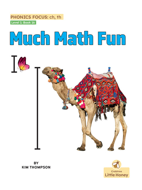 Book cover for Much Math Fun