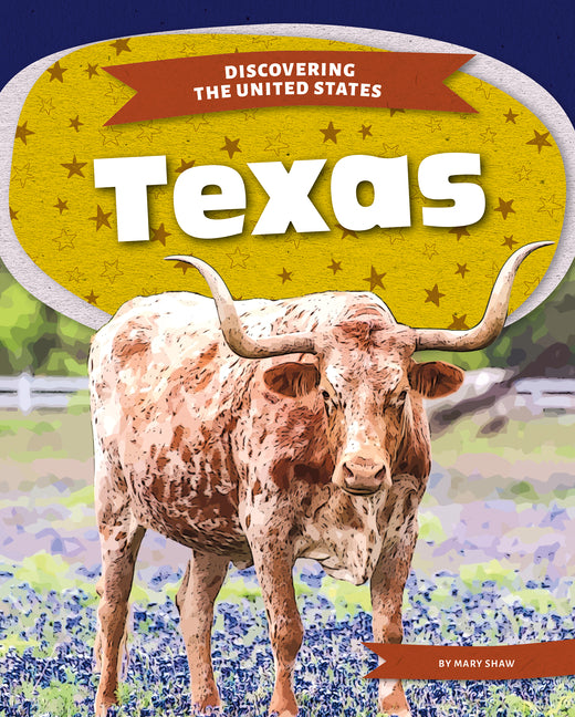 Book cover for Texas