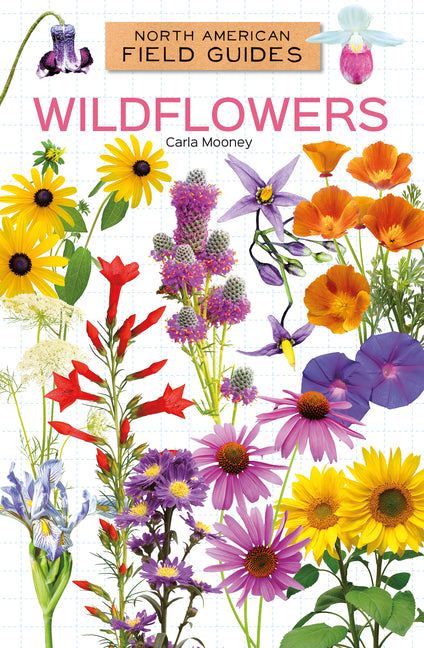 Book cover for Wildflowers