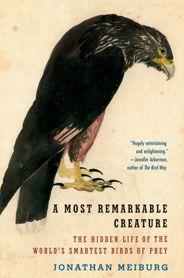 Book cover for A Most Remarkable Creature: The Hidden Life of the World's Smartest Birds of Prey